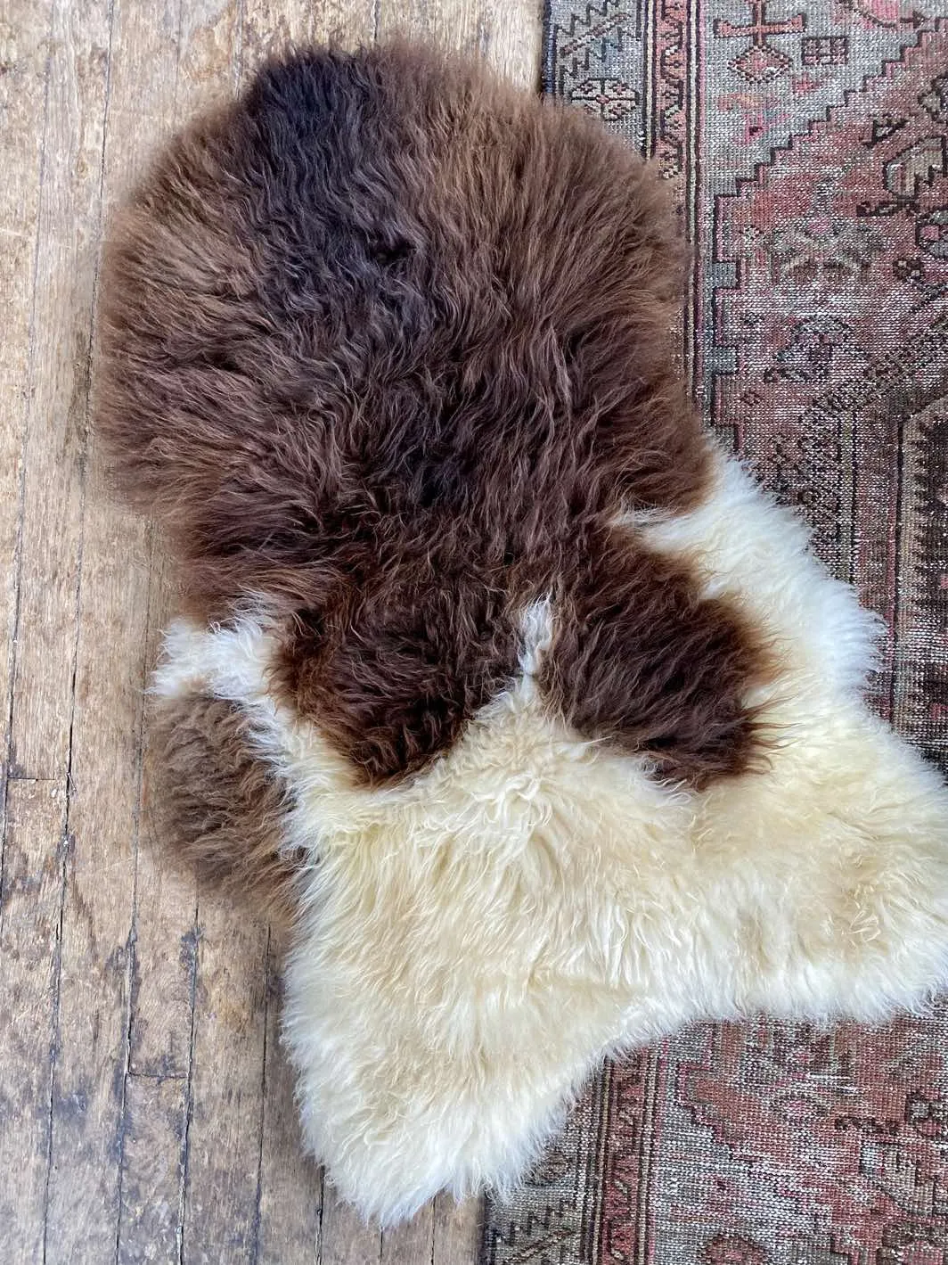 Plush Brown & Ivory Sheepskin