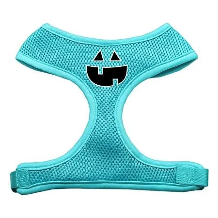 Pumpkin Face Design Soft Mesh Harnesses Aqua Medium