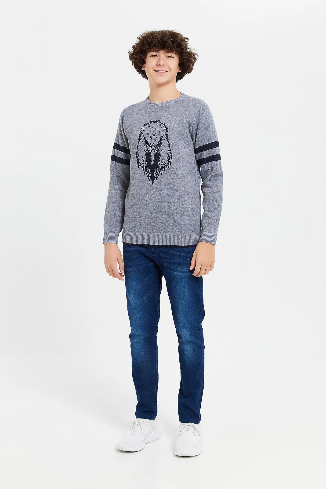 Senior Boys Grey Bird Jacquard Pullover